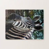 アフリカのゼブラ。 ジグソーパズル (横)