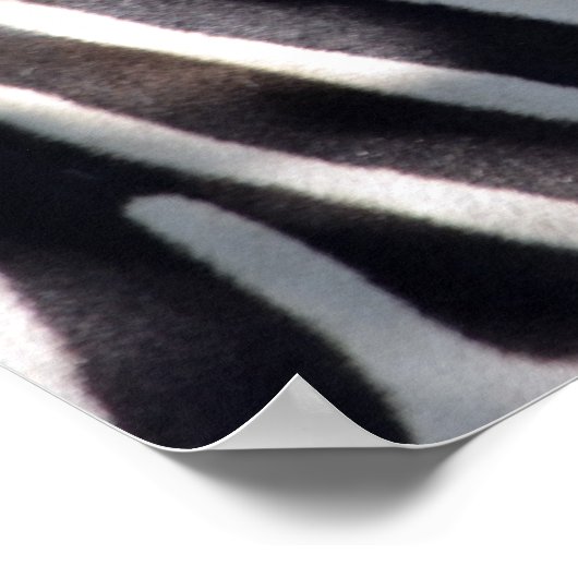 アフリカのゼブラ ポスター (角)