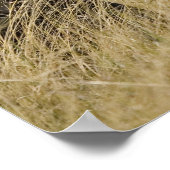 アフリカのゾウが畑で放牧する ポスター (角)