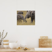 アフリカのゾウが畑で放牧する ポスター (キッチン)