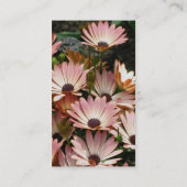 アフリカのデイジーの花の写真撮影名刺 名刺 (裏面)