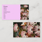 アフリカのデイジーの花の写真撮影名刺 名刺 (正面/裏面)