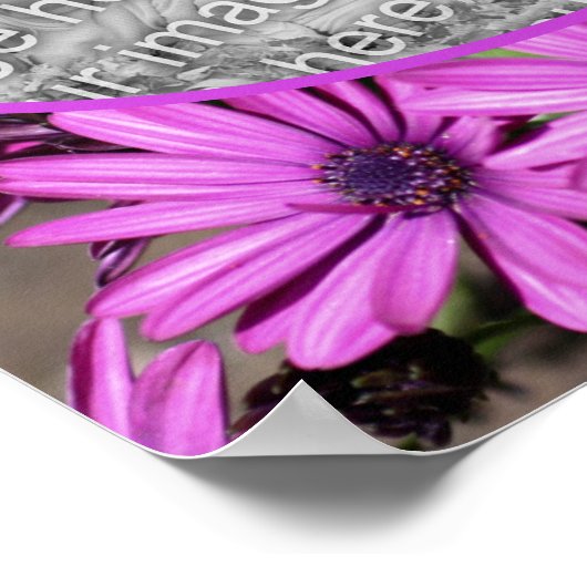 アフリカのデイジー花フレーム自分の写真を作成 ポスター (角)