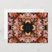 アフリカのデイジー・カレイドスコープ・フラワー・ポストカード ポストカード (正面/裏面)