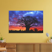 アフリカのバオバブの木,アダンソニアのジギタタ, 2 キャンバスプリント (インサイチュ (リビング))