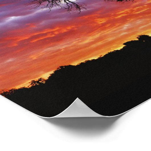 アフリカのバオバブの木,アダンソニアのジギタタ, 2 ポスター (角)