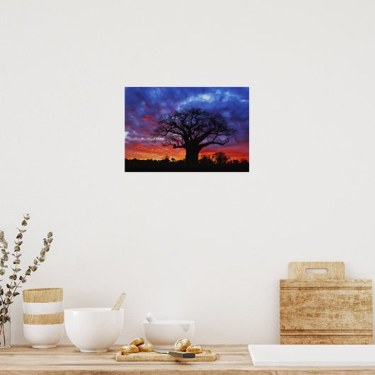 アフリカのバオバブの木，アダンソニアのジギタタ， 2 ポスター (キッチン)