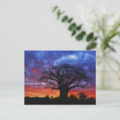 アフリカのバオバブの木,アダンソニアのジギタタ, 2 ポストカード (スタンド正面)