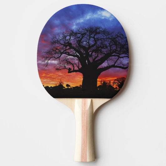 アフリカのバオバブの木，アダンソニアのジギタタ， 2 卓球ラケット (正面)