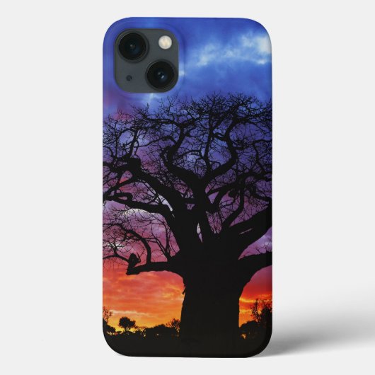 アフリカのバオバブの木, アダンソニア・ディギタータ, 2 Case-Mate iPhoneケース (裏面)