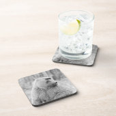 アフリカのヒヒ コースター (右側)