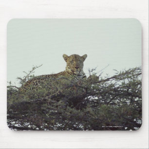 アフリカのヒョウ マウスパッド