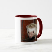 アフリカのピグミーのハリネズミのマグ マグカップ (正面右)