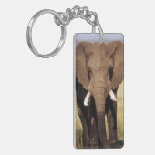 アフリカのブッシュゾウ キーホルダー (正面左)