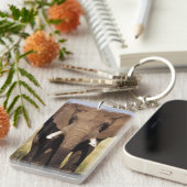 アフリカのブッシュゾウ キーホルダー (正面右)