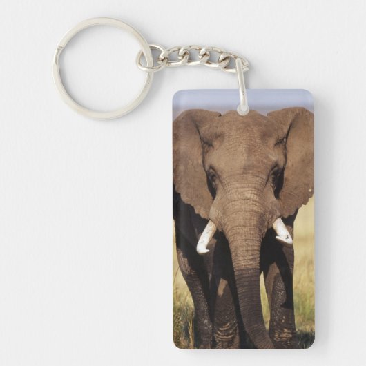 アフリカのブッシュゾウ キーホルダー (正面)
