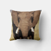 アフリカのブッシュゾウ クッション (裏面)