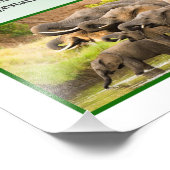 アフリカのブッシュゾウ フォトプリント            (角)