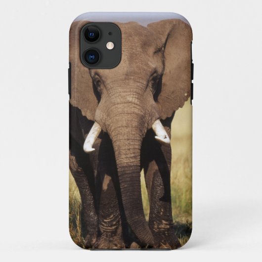 アフリカのブッシュゾウ Case-Mate iPhoneケース (裏面)