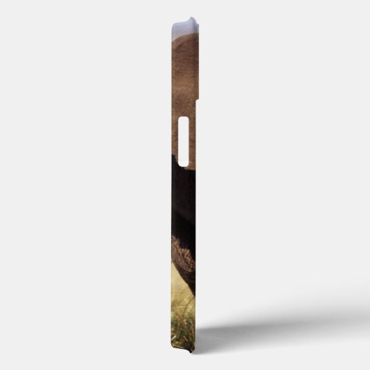アフリカのブッシュゾウ Case-Mate iPhoneケース (裏面 / 右)