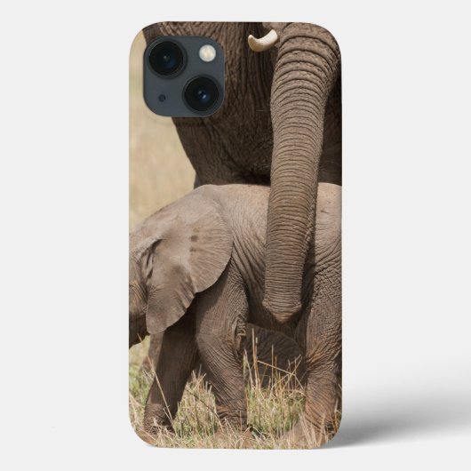 アフリカのベビーゾウと母親 Case-Mate iPhoneケース (裏面)