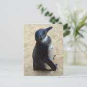 アフリカのペンキン ポストカード (スタンド正面)