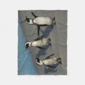 アフリカのペンギン|のSpheniscus Demersus フリースブランケット (正面)