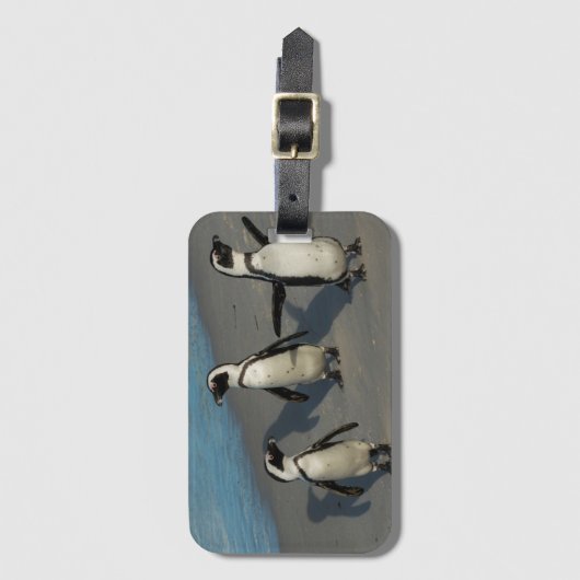 アフリカのペンギン|のSpheniscus Demersus ラゲッジタグ (正面縦)