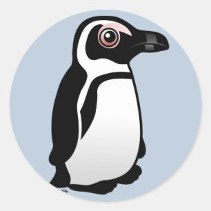 アフリカのペンギン ラウンドシール