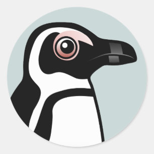 アフリカのペンギン ラウンドシール