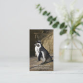 アフリカのペンギン • 名刺のテンプレート 名刺 (スタンド正面)