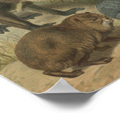 アフリカのライオンと動物の友人 ポスター (角)