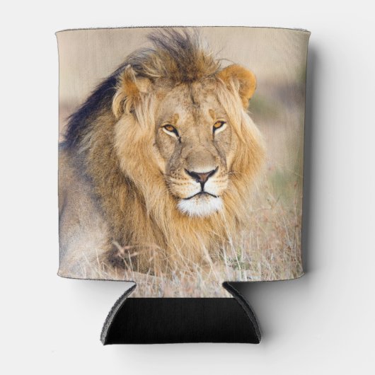 アフリカのライオンのサファリ大きな猫動物の写真 缶クーラー (正面)