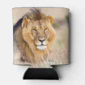 アフリカのライオンのサファリ大きな猫動物の写真 缶クーラー (裏面)