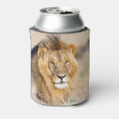 アフリカのライオンのサファリ大きな猫動物の写真 缶クーラー (缶裏面)