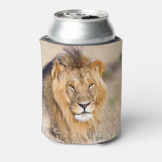 アフリカのライオンのサファリ大きな猫動物の写真 缶クーラー (缶裏面)