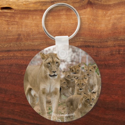 アフリカのライオンの子どもと母親 キーホルダー (正面)