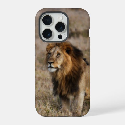 アフリカのライオンの草のiPhone 7ケース iPhoneケース (裏面)