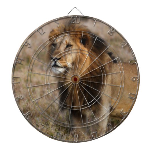 アフリカのライオン ダーツボード (正面)