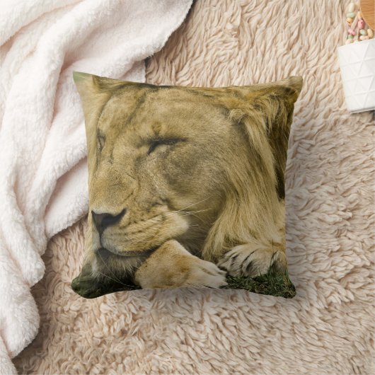 アフリカのライオン、パンテラレオ、眠りに落ちた クッション (ブランケット)
