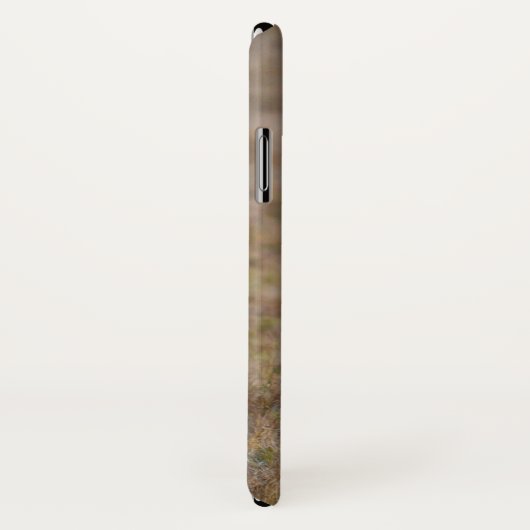 アフリカのライオン Case-Mate iPhoneケース (裏面/右)