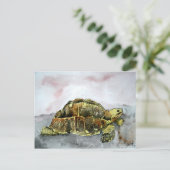 アフリカの亀のポストカードポストカード ポストカード (スタンド正面)