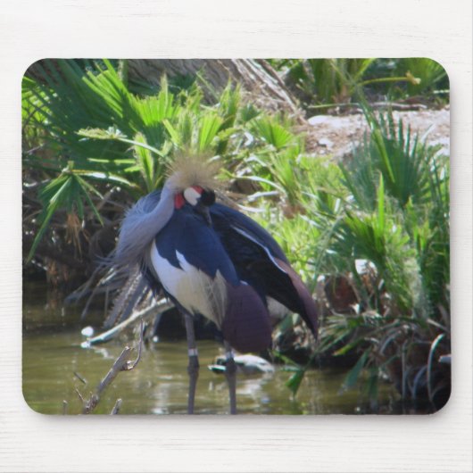 アフリカの冠の鶴の口 マウスパッド (正面)