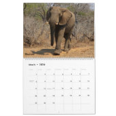 アフリカの動物と鳥2026カレンダー カレンダー (3月 2026)