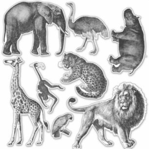 アフリカの動物セット シール