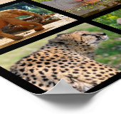 アフリカの動物モザイク ポスター (角)