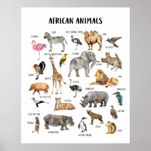 アフリカの動物 教育ポスター ポスター