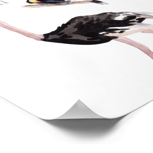 アフリカの動物 | 教育 学習 教室 ポスター (角)