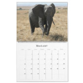 アフリカの動物 2027年 大判カレンダー カレンダー (3月 2027)