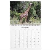 アフリカの動物 2027年 大判カレンダー カレンダー (1月 2027)